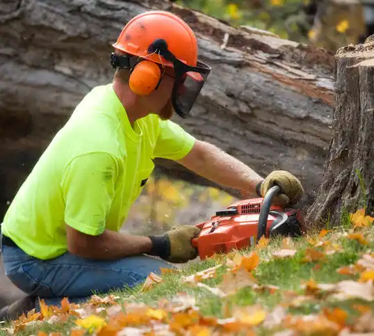 tree services Bellefonte